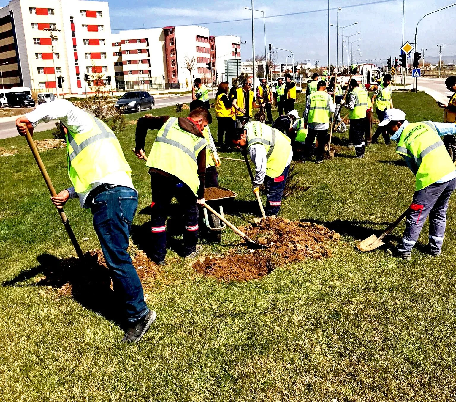 Afyon Zafer Lions Kulübü 100.yılda 100 Pavlonya ağacı dikimi yaptı!