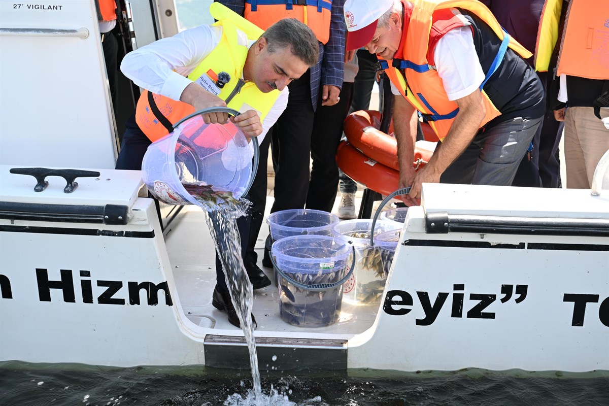 Eğirdir Gölü’ne Bir Milyon Yüz Bin Sazan Balığı Bırakıldı