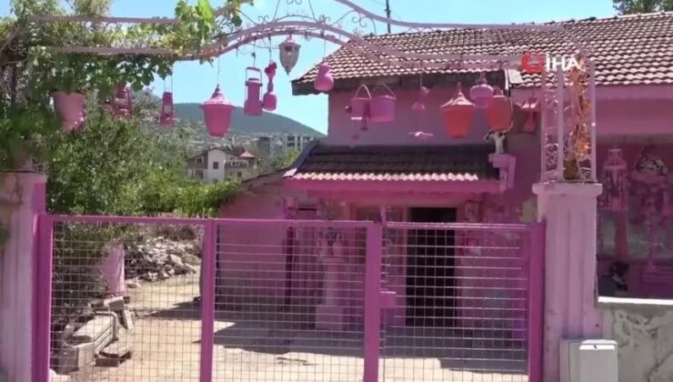 Isparta’da pembeye boyanan bir hayat: Sakine Teyze’nin renkli dünyası