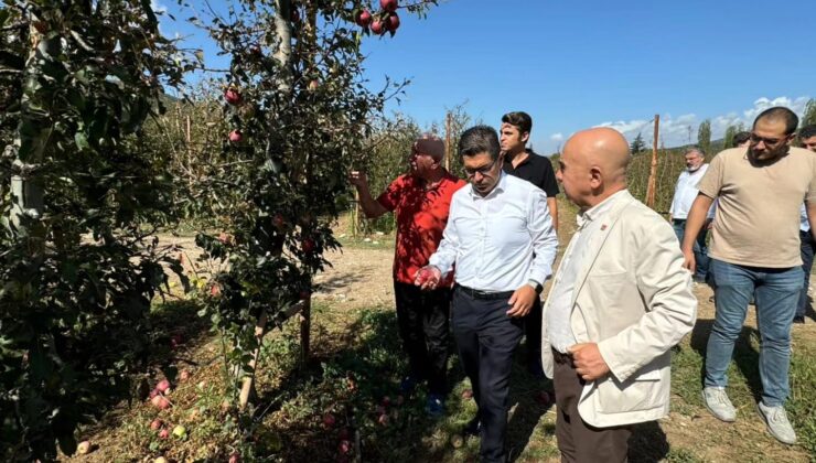 Ispartalı çiftçiye sadece iktidar değil dolu da vuruyor!