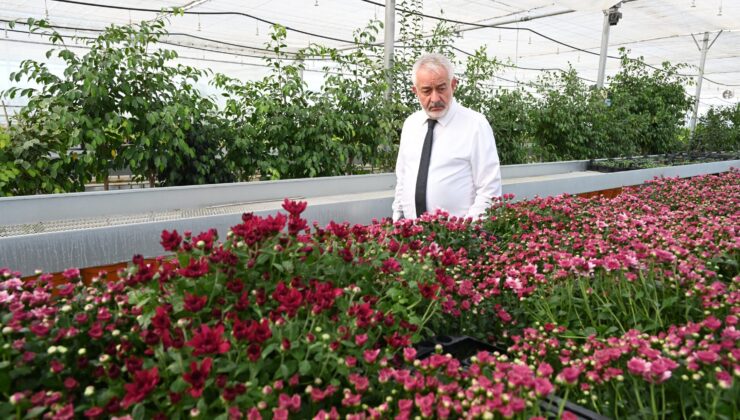 Isparta Belediyesi’nden tarıma teknolojik destek: yeni sera hizmete girdi