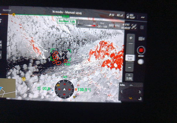 Kaybolan koyunlar jandarma ekiplerince bulundu