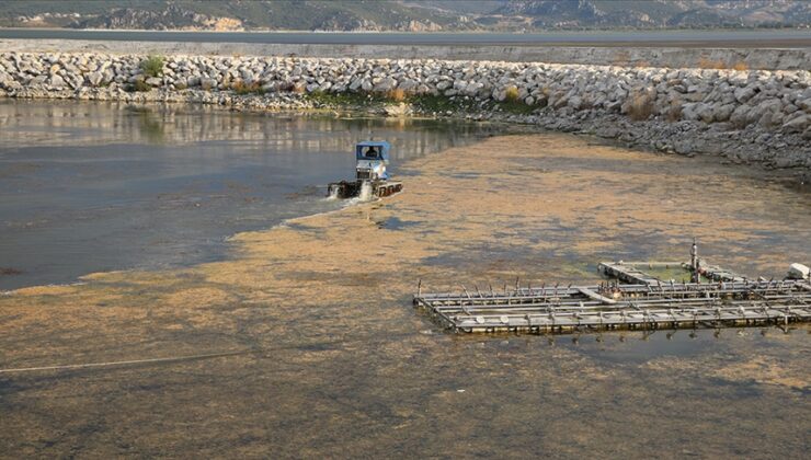 Eğirdir Gölü’ne devlet planı