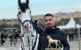Atların Türkiye İkinci Güzeli Isparta Safkanlar’dan