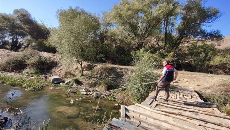 Eber Gölü’nün Korunması İçin Yeni Adımlar Atıldı