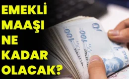 Emekli Maaşı Ne Kadar Olacak?