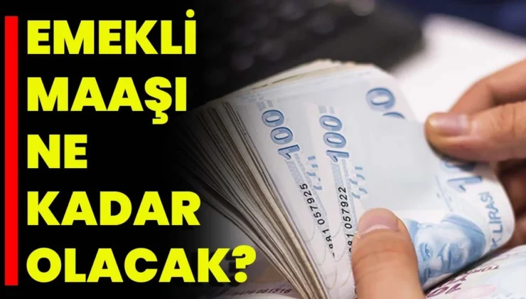 Emekli Maaşı Ne Kadar Olacak?