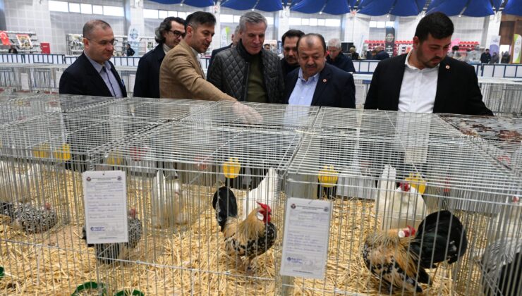 Isparta’da 8. ulusal kümes hayvanları gösterisi düzenlendi