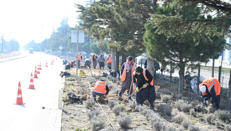 Isparta’da yeşil alan bakım ve peyzaj çalışmalarına devam ediyor