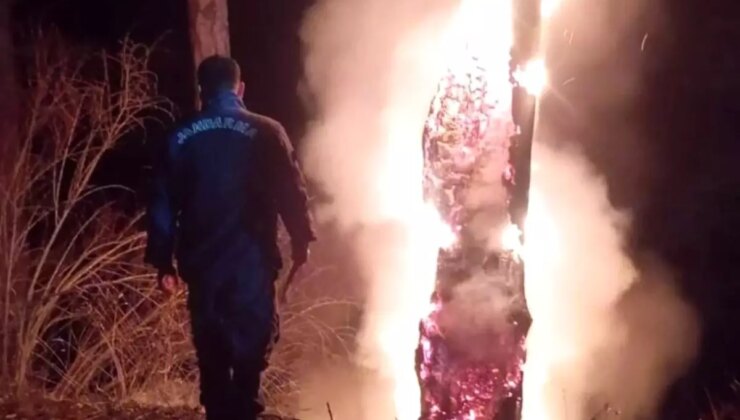 Senitalanı Yaylası’nda orman yangını hızlı müdahaleyle söndürüldü