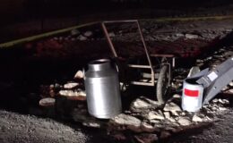 Süt dağıtımından dönen yaşlı kadın hayatını kaybetti