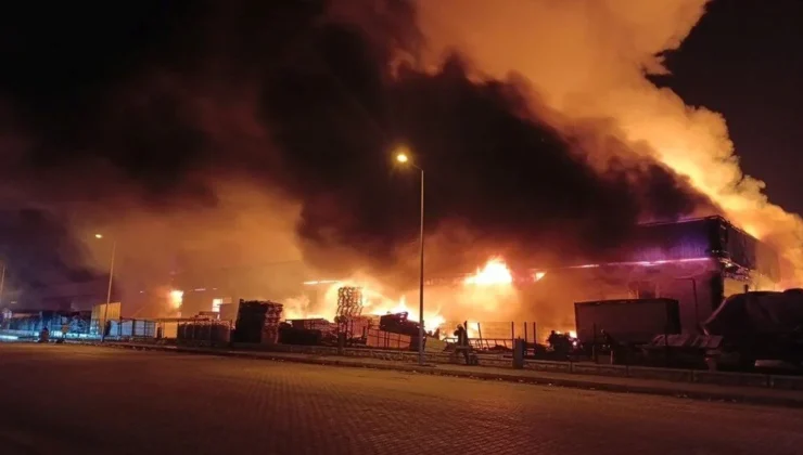 Afyonkarahisar’daki yangın kontrol altına alındı