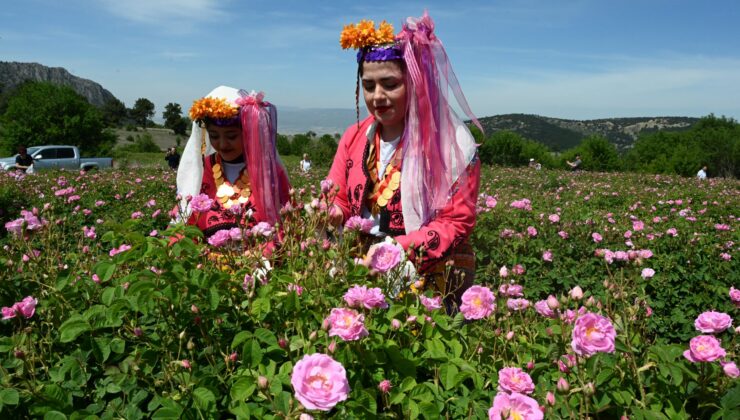Isparta’da gül festivali coşkusunun tarihi belirlendi