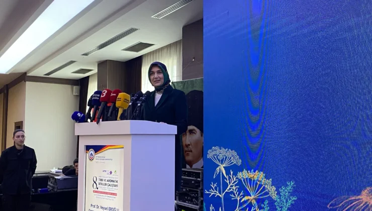 Vali Yiğitbaşı, Çalıştayda Hangi Konuya Vurgu Yaptı?