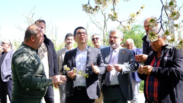 CHP heyeti zirai don felaketinin vurduğu bölgelerde incelemelerde sulundu: “Isparta’yı görmezden gelmeyin”