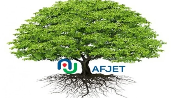 30 Derecelik Havada Yanıyor: Afyon’da Milli Servet Peteklerde Buharlaşıyor!