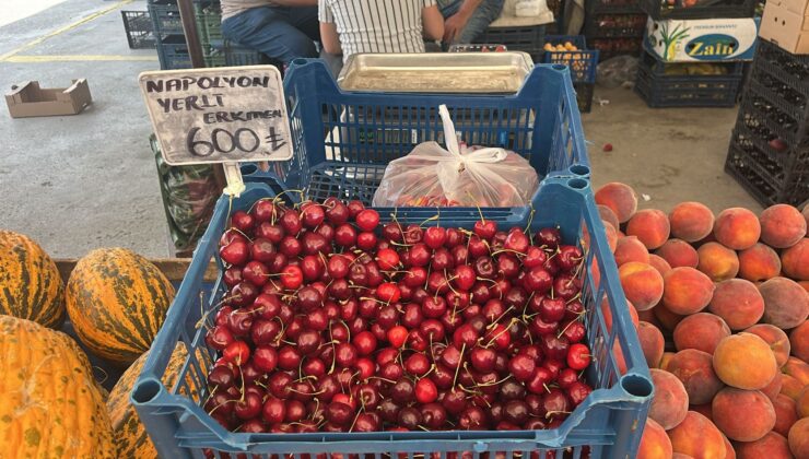 600 Liralık Kiraz Şaşkınlığı! Afyon’da Napolyon Kirazına Don Darbesi