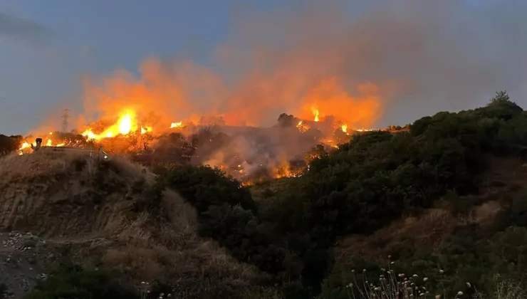 Akılalmaz İhmalkarlık Ormanı Küllere Boğdu! Manisa’daki Yangının Sebebi “Pes” Dedirtti!