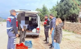 Eğirdir Gölü’nde Kaçak Avcılığa Darbe! 114 Kilo Balığa El Konuldu