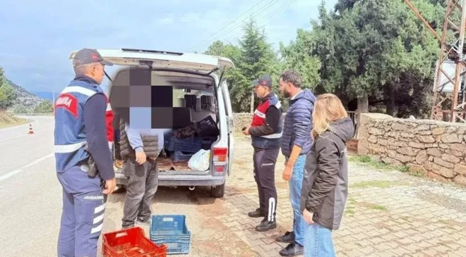 Eğirdir Gölü’nde Kaçak Avcılığa Darbe! 114 Kilo Balığa El Konuldu